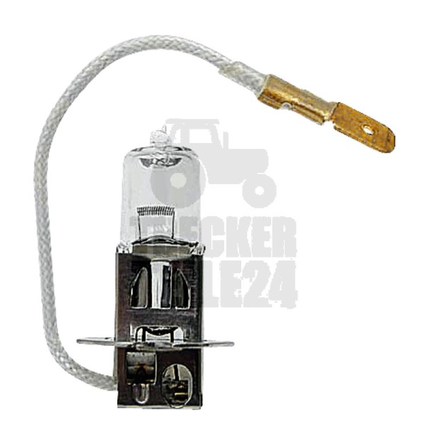 Halogenlampe H3