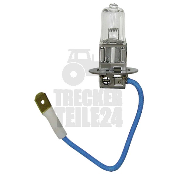 Halogenlampe H3