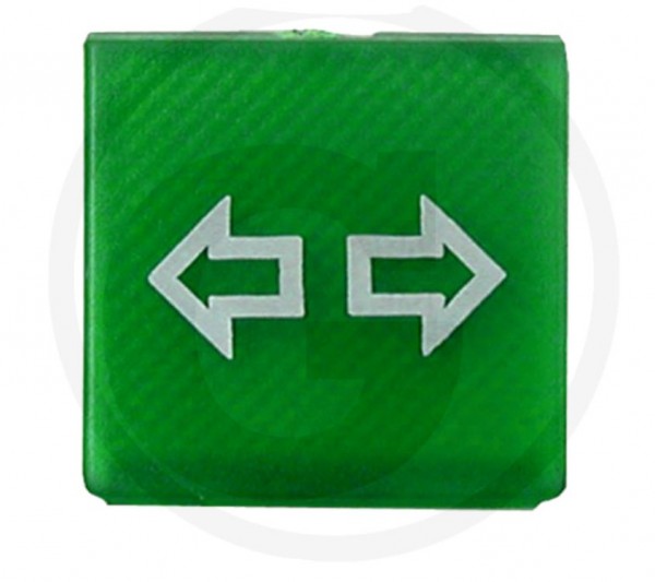 Symbol grün Fahrtrichtungsanzeiger (9XT714300141)