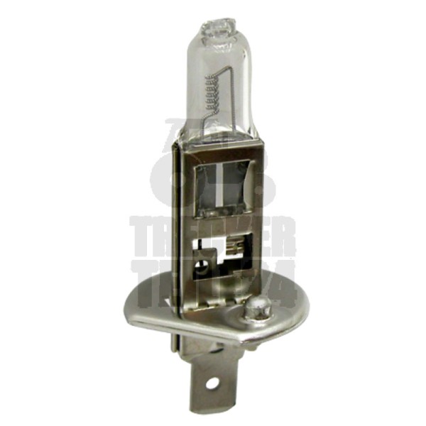Halogenlampe H1