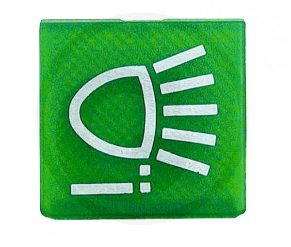 Symbol: Arbeitsleuchte (hinten) grün, 9XT713630701