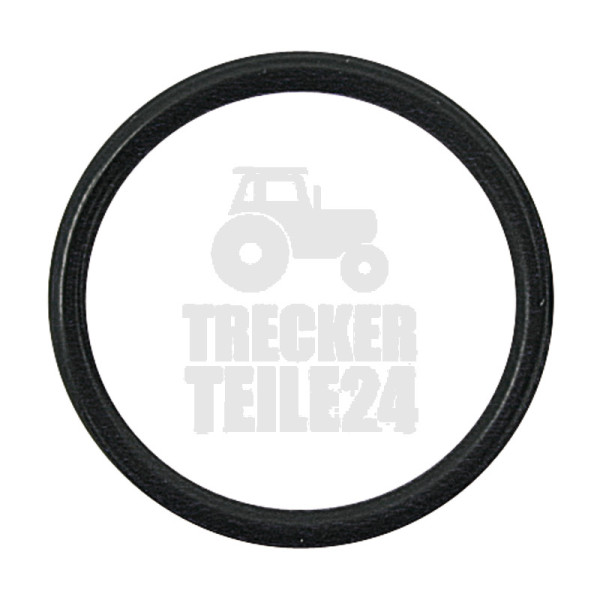 O-Ring 24x2,5