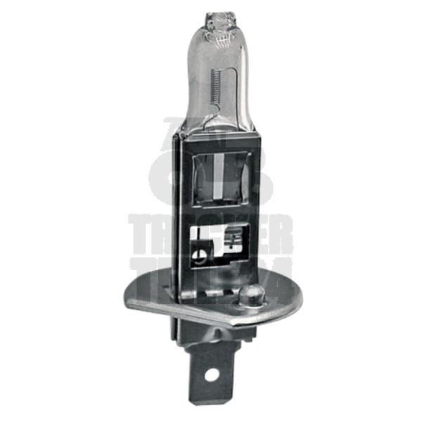 Halogenlampe H1